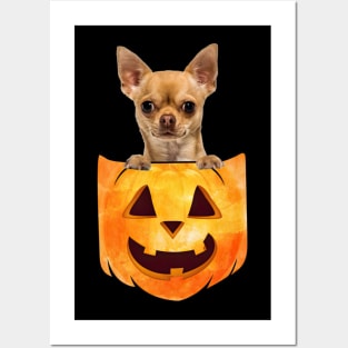 Tan Chihuahua Dog In Pumpkin Pocket Halloween Posters and Art